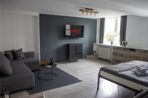 Industrie Loft 1902 - Gratis Parken - Zentral